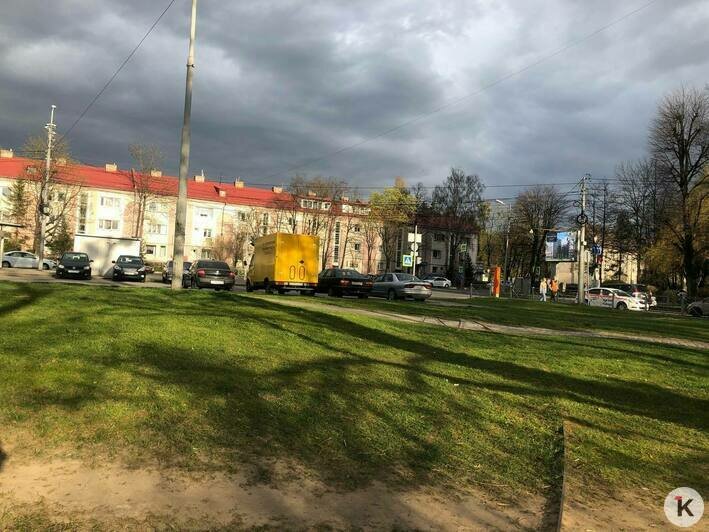 Трава растёт прямо из рельсов: как выглядит бывшее трамвайное кольцо на Тельмана (фото) - Новости Калининграда | Фото: «Клопс»