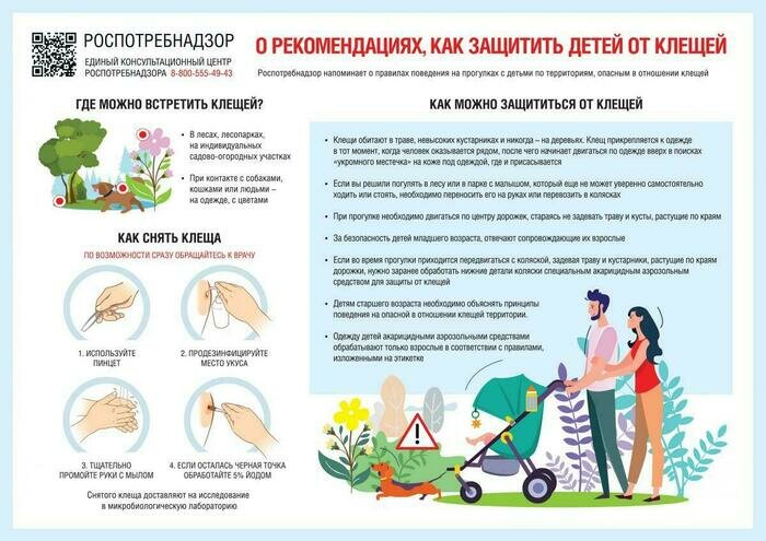 В калининградском Роспотребнадзоре рассказали, как уберечь детей от клещей - Новости Калининграда | Фото: памятка Роспотребнадзора