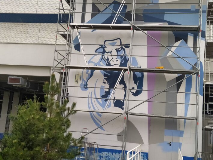На стену стадиона «Калининград» нанесли граффити с изображением талисмана футбольного клуба «Балтика» - Новости Калининграда | Фото: очевидец