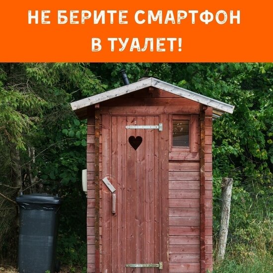 Проктолог: Не берите смартфон в туалет - Новости Калининграда