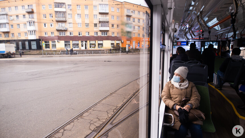 Дятлова назвала сроки запуска третьего трамвайного маршрута - Новости Калининграда | Фото: Александр Подгорчук / Архив «Клопс»