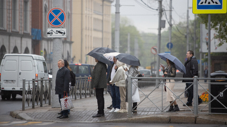 До +16 и дождь: погода в Калининграде на понедельник - Новости Калининграда | Фото: Александр Подгорчук / Архив «Клопс»