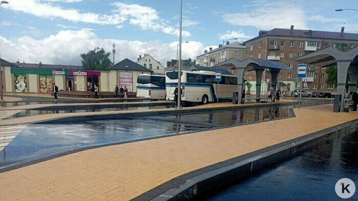Люди мечутся по лужам в поисках нужного автобуса: как устроен новый автовокзал в Гусеве (видео) - Новости Калининграда | Фото: «Клопс»