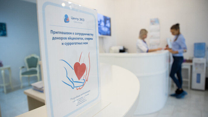 Вопреки обстоятельствам: как ЭКО помогает победить бесплодие - Новости Калининграда