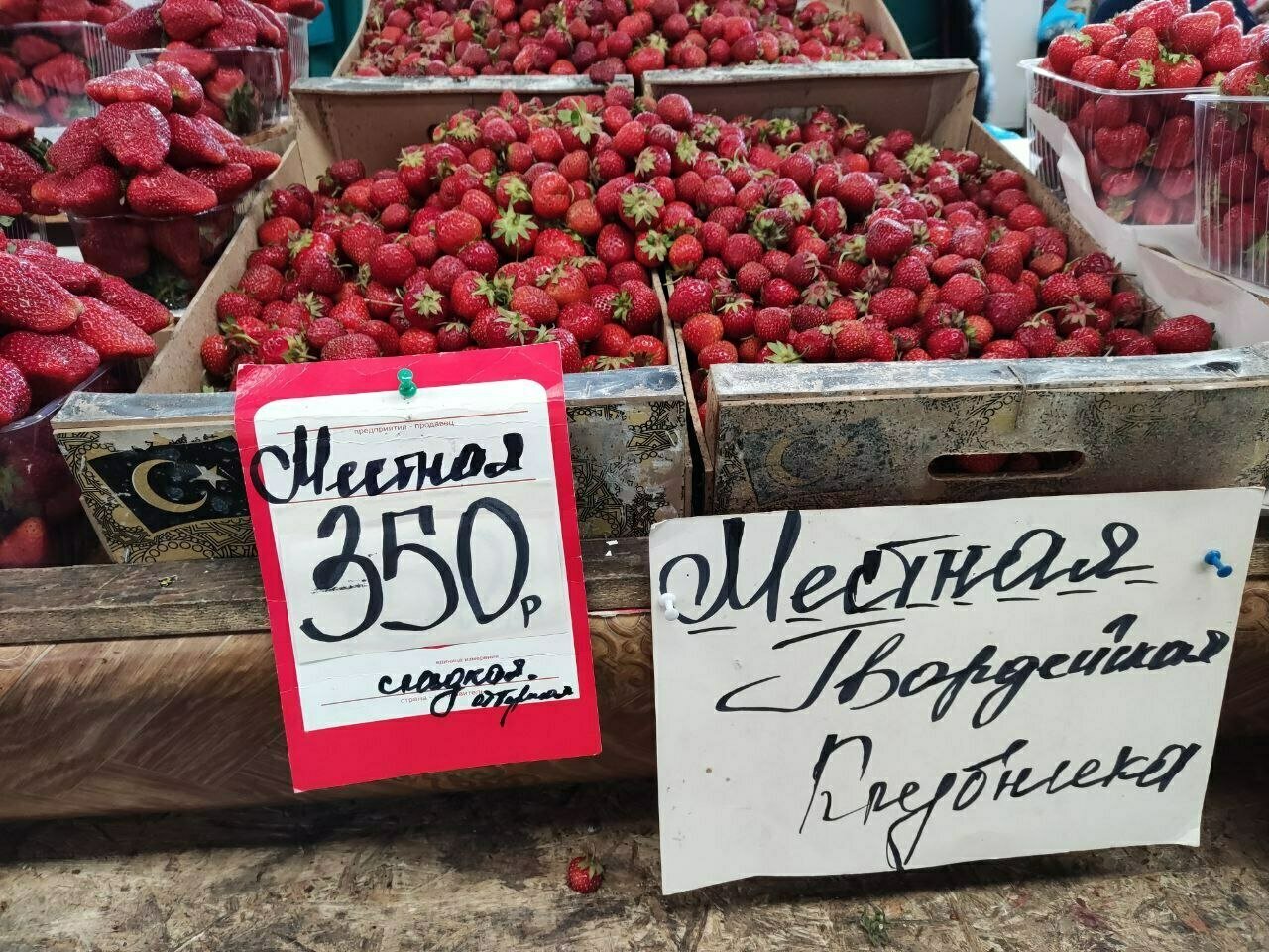 Клубничный обзор: какую ягоду и почём можно найти в Калининграде - Новости  Калининграда