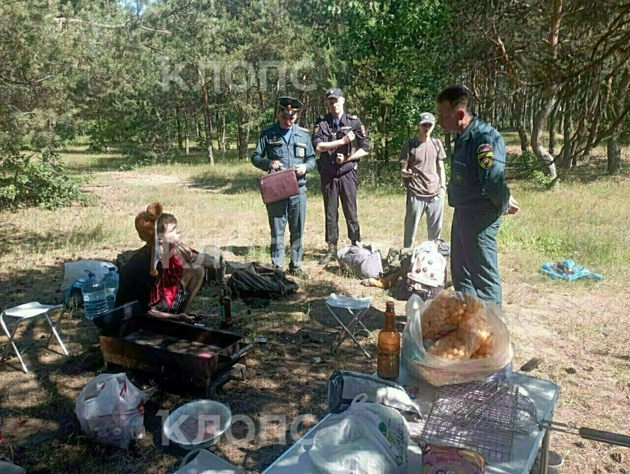 В Калининграде начались облавы на любителей готовить шашлыки на природе  (фото, видео) - Новости Калининграда