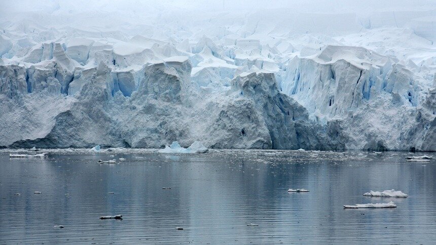 Исследовательская экспедиция нечаянно нашла под толщей льда в Антарктике живой подводный мир  - Новости Калининграда