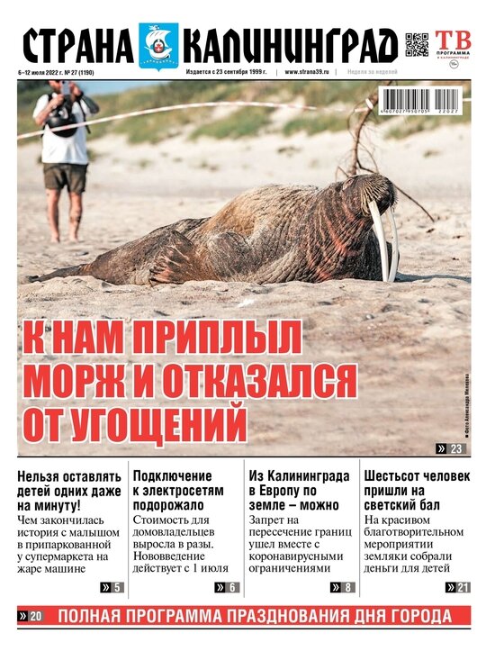 Сколько стоит день на наших пляжах: читайте в газете «Страна Калининград» - Новости Калининграда
