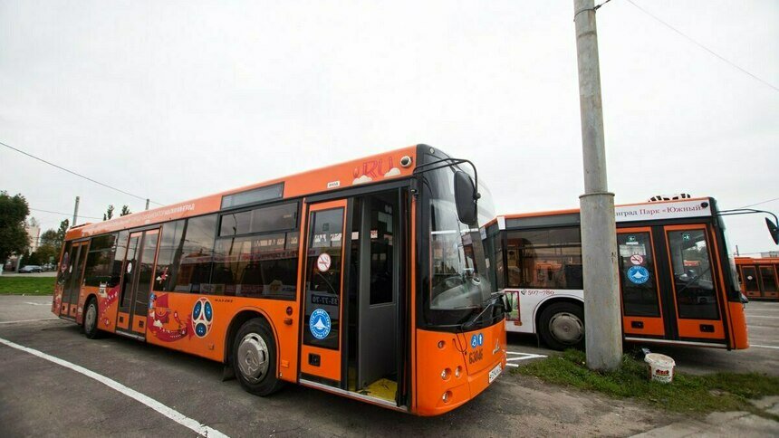 В калининградских автобусах тестируют систему распознавания лиц, чтобы окончательно отказаться от кондукторов  - Новости Калининграда