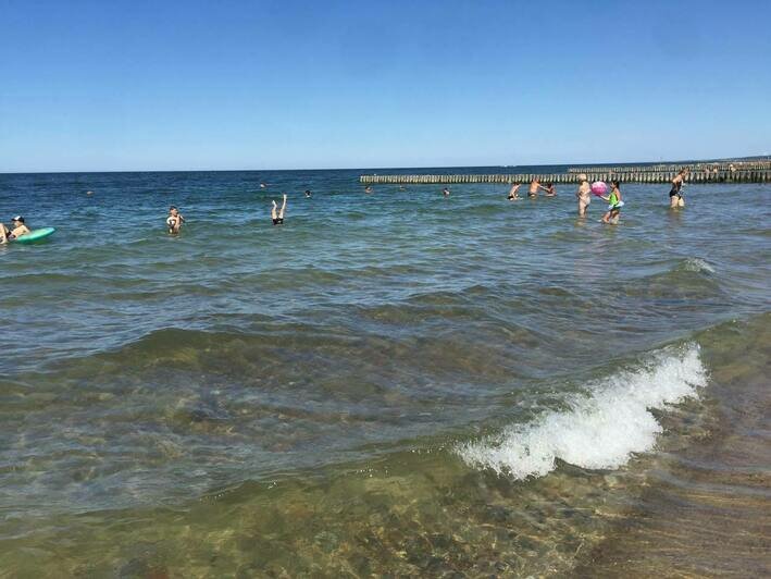 Алиханов показал заполненный отдыхающими пляж в Зеленоградске (фото) - Новости Калининграда | Фото: очевидец