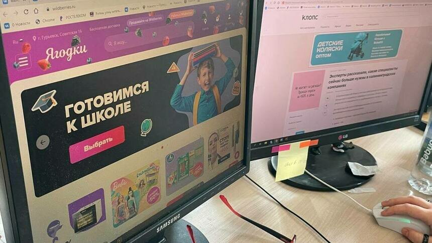 Wildberries сменил название своего сайта на «Ягодки» - Новости Калининграда | Фото: «Клопс»