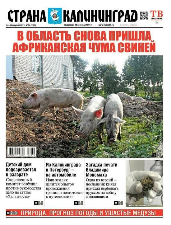 Страна cd на автомобиле