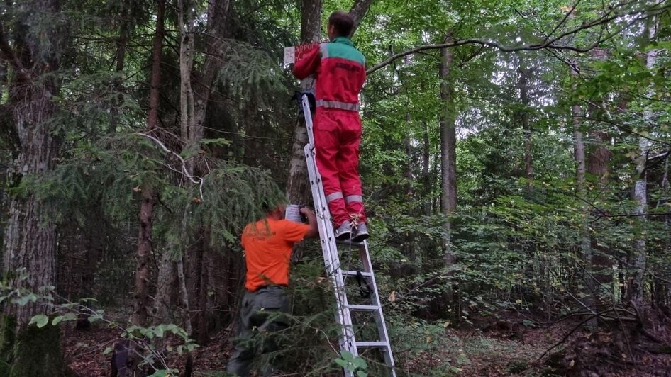 В Полесском районе волонтёры установили 17 стрелок, которые помогут заблудившимся грибникам выйти из леса - Новости Калининграда | Фото: ПСО «Запад»