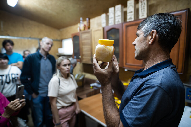 Как в Калининградской области производят мёд - Новости Калининграда
