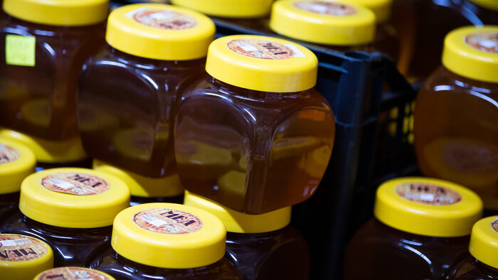 Как в Калининградской области производят мёд - Новости Калининграда