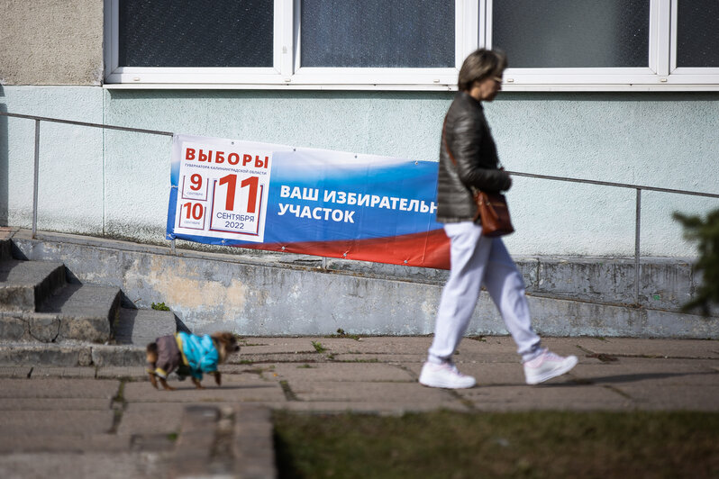 Калининградцы голосуют: в регионе проходят выборы губернатора (фоторепортаж)  - Новости Калининграда | Фото: Александр Подгорчук / «Клопс»