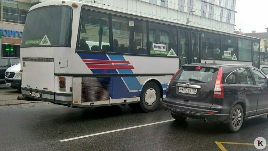 В Калининграде сократили количество бесплатных автобусов до «Леруа Мерлен» - Новости Калининграда | Фото: архив «Клопс»