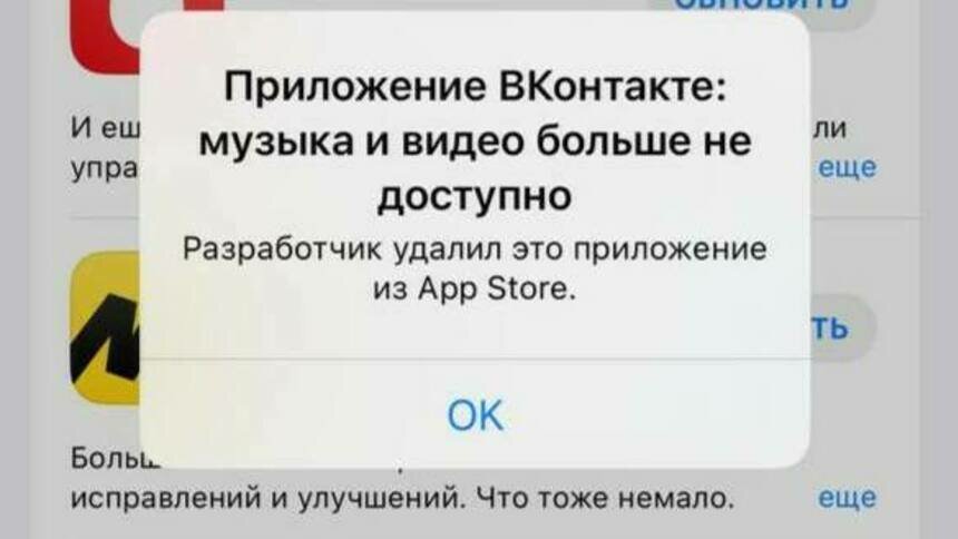Apple убрала из магазина приложений «ВКонтакте» - Новости Калининграда | Скриншот страницы App Store