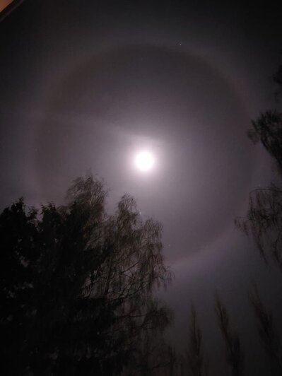 Калининградцы наблюдали ночью лунное гало (фото) - Новости Калининграда | Фото: очевидец