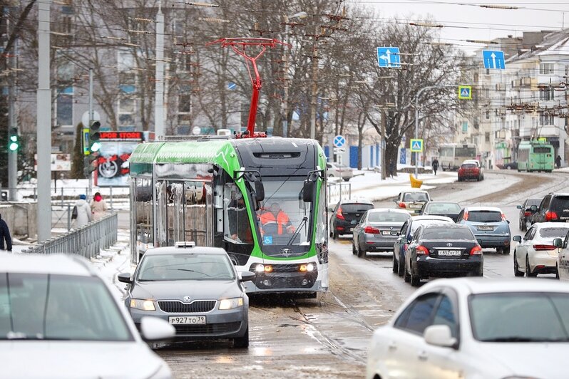 В новых калининградских трамваях есть площадки для собак-поводырей (фото) - Новости Калининграда | Фото: Александр Подгорчук / «Клопс»