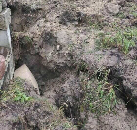 На фото: траншея, которую вырыл трубкозуб | Фото: пресс-служба зоопарка Калининграда