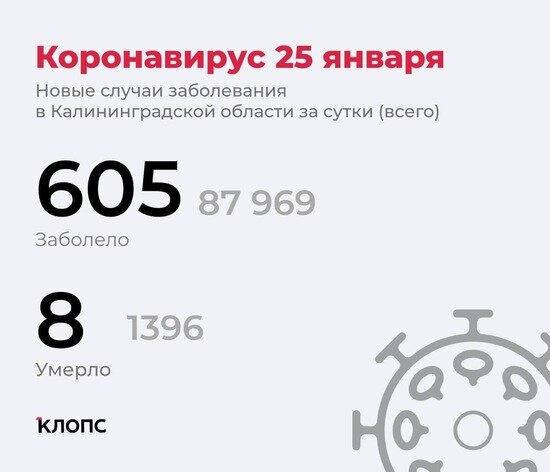 220 детей, 27 пенсионеров: подробности о ситуации с коронавирусом в Калининградской области - Новости Калининграда