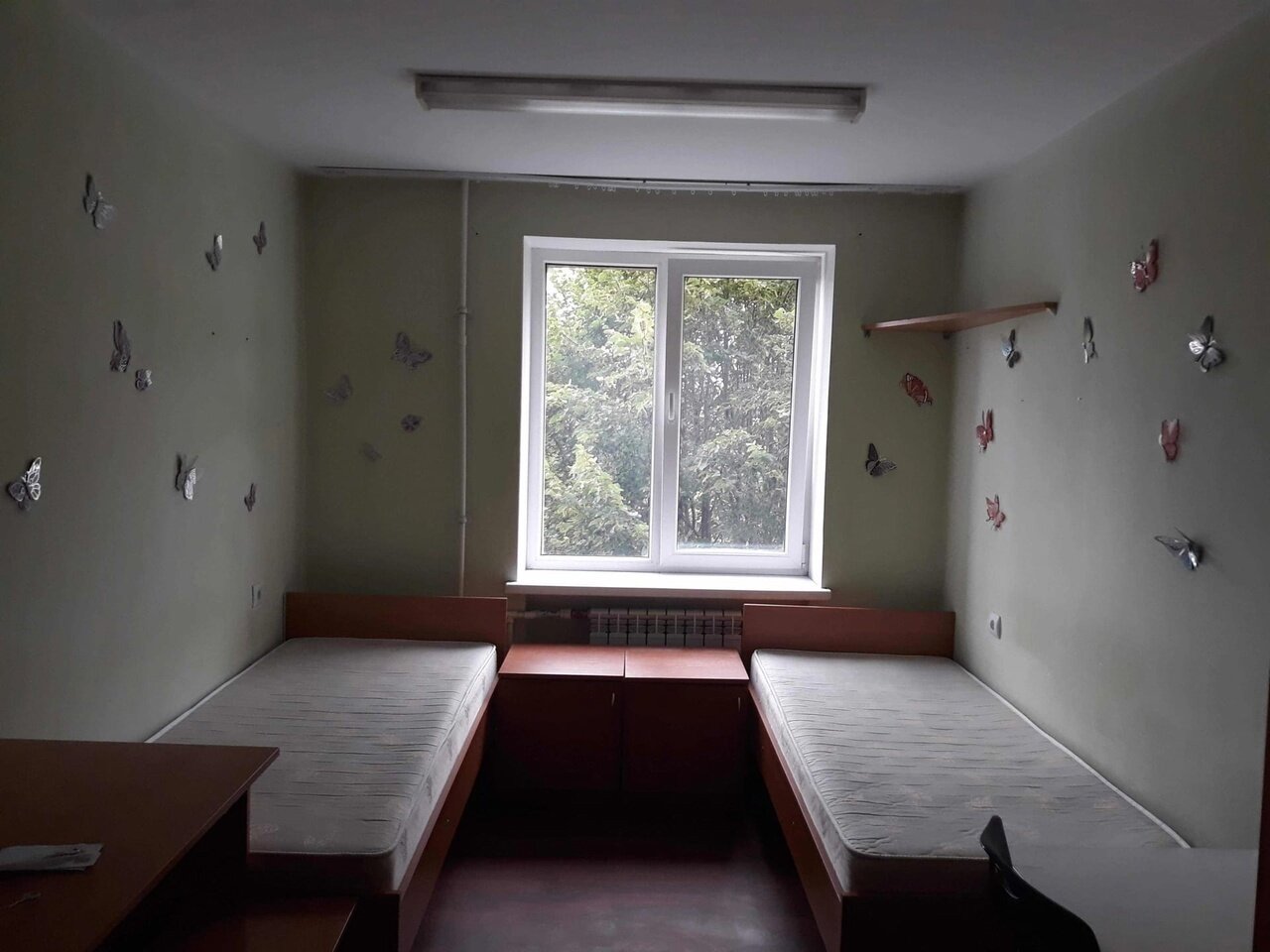 В бывшем общежитии на Невского обрушился потолок (видео)