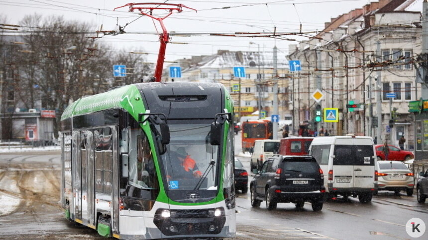 В мэрии рассказали, когда новые трамваи «Корсар» выйдут на линию - Новости Калининграда | Фото: Александр Подгорчук / Архив «Клопс»
