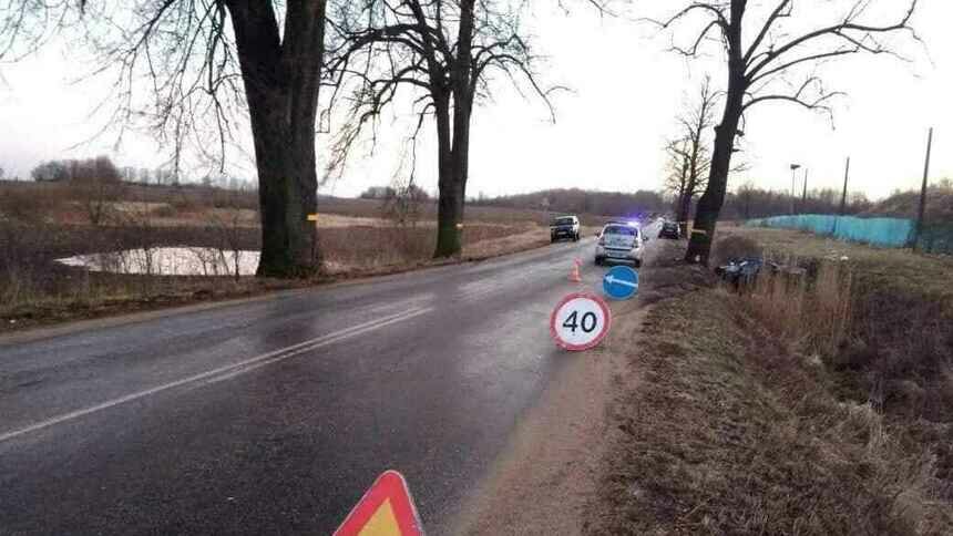 В Гусевском районе машина врезалась в дерево, 23-летний водитель скончался - Новости Калининграда | Фото: ГИБДД региона