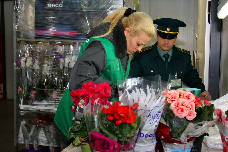 В Калининградскую область с начала года привезли более 313 тонн цветов - Новости Калининграда | Фото: пресс-служба Калининградской областной таможни