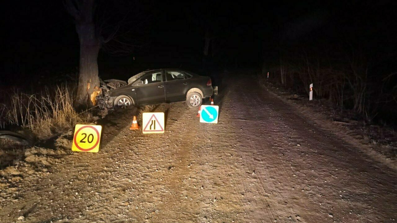 В Багратионовском районе пьяный водитель не справился с управлением и  врезался в дерево - Новости Калининграда