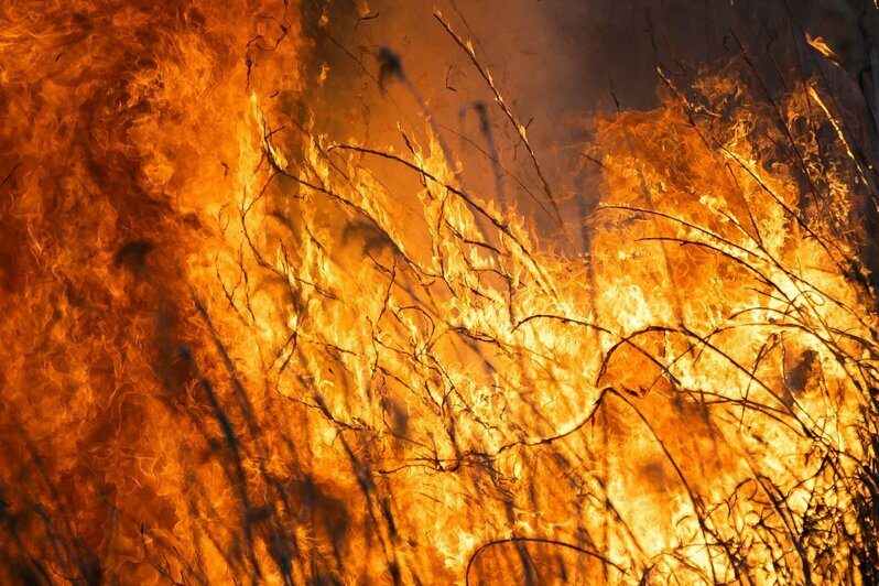 Десятиметровый столб пламени: калининградцы пришли посмотреть на пожар (фото) - Новости Калининграда