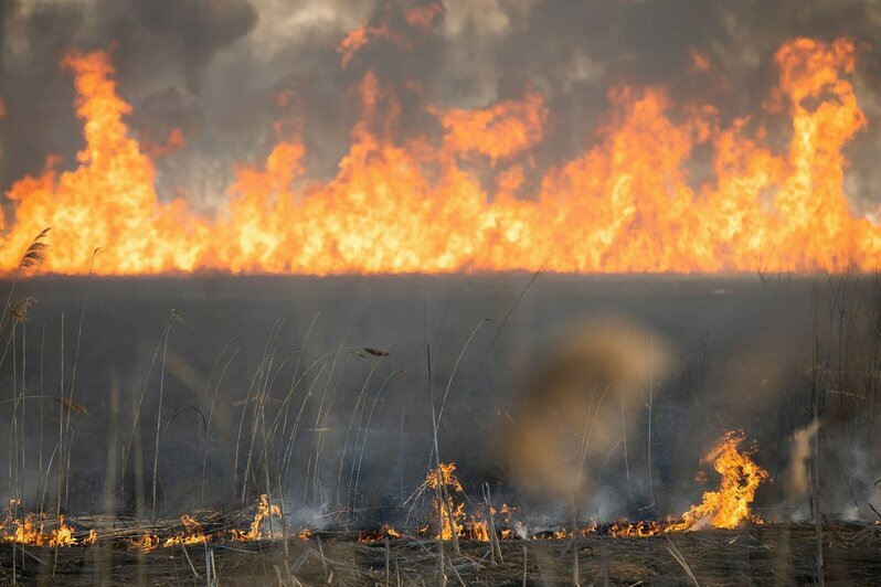 три дня дождя демоны. горение травы на открытой территории. пожар в поле. падающий пепел. человек рассыпается в пыль.