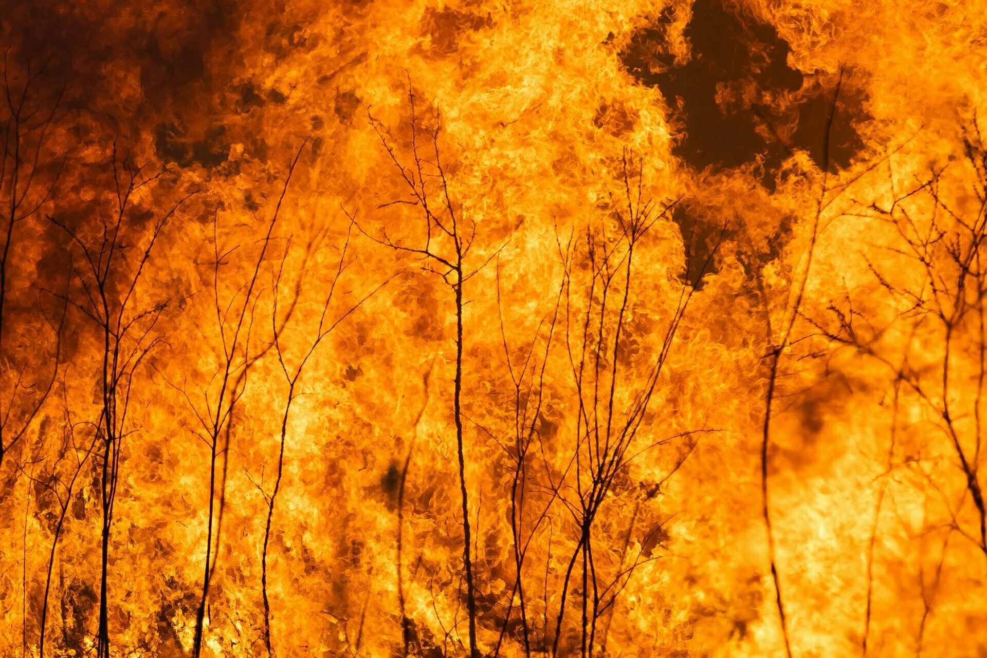 Десятиметровый столб пламени: калининградцы пришли посмотреть на пожар (фото) - Новости Калининграда