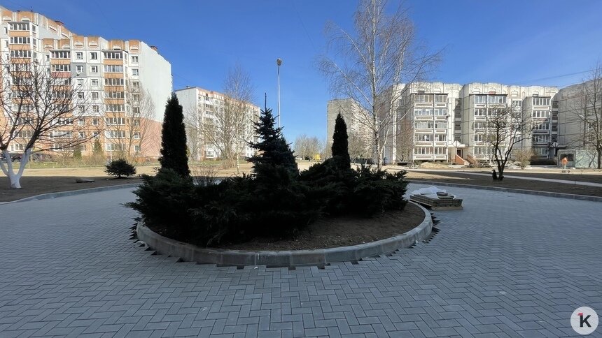 «Я восхищена продвинутым подходом калининградцев»: Дятлова назвала самый современный двор в городе (фото) - Новости Калининграда | Фото: «Клопс»