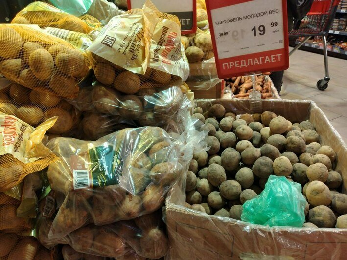 Индекс клопсов: как за 5 месяцев изменились цены на продукты в Калининграде - Новости Калининграда