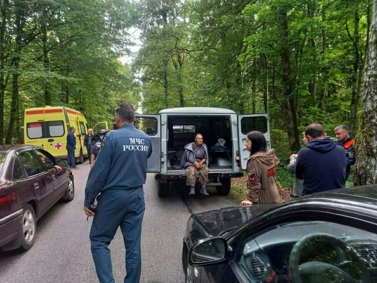 Пропавшую в Медовом 87-летнюю калининградку ищут неделю: женщина потерялась  в лесу второй раз - Новости Калининграда