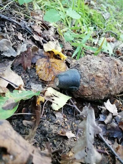 Ржавые снаряды и ружья: куда звонить калининградцам, обнаружившим боеприпасы в лесах области (инструкция) - Новости Калининграда | Фото предоставил Василий