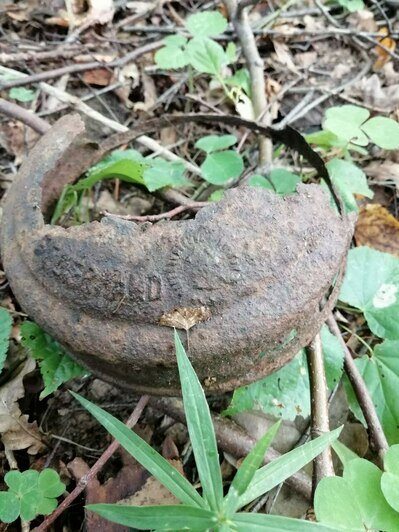 Ржавые снаряды и ружья: куда звонить калининградцам, обнаружившим боеприпасы в лесах области (инструкция) - Новости Калининграда | Фото предоставил Василий