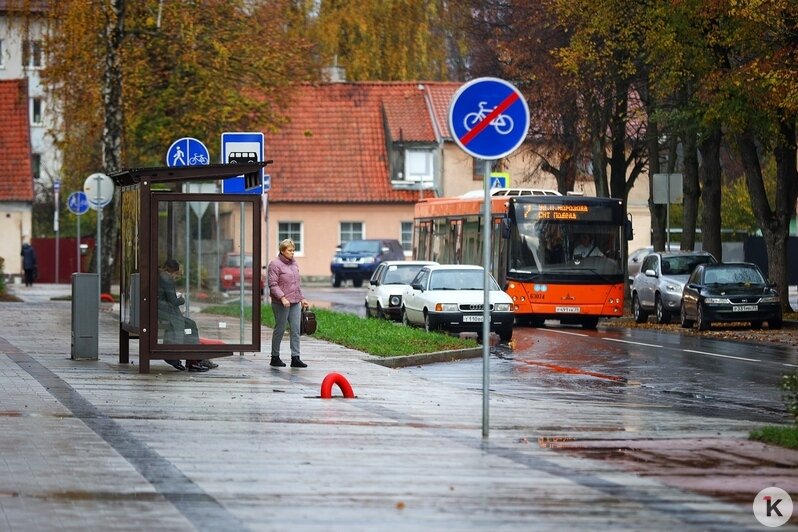 Новые автобусы в калининграде 2024. Автобусы Калининград. Старые автобусы Калининград. Калининград 2022. Красные автобусы Калининград.
