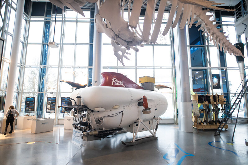 Мама, я почти гидронавт: как будущие экспонаты Музея Мирового океана обретают новую жизнь (фоторепортаж)  - Новости Калининграда | Фото: «Клопс»