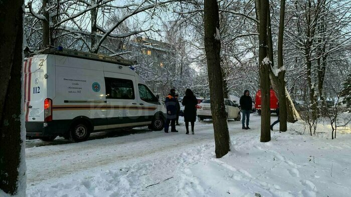 Мейн-кун в вольере, закрывшиеся в квартире дети и пожар в ТЦ: 11 событий, которые обсуждали на неделе   - Новости Калининграда | Фото: «Клопс»