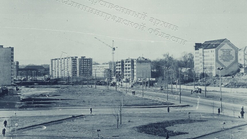 В калининградском госархиве показали, как Московский проспект выглядел более 40 лет назад (фото) - Новости Калининграда | Фото: Госархив Калининградской области