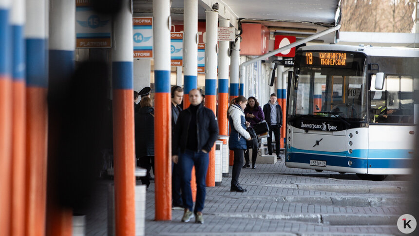 В Калининградской области на январь отменили или сократили 14 маршрутов междугородних автобусов - Новости Калининграда | Фото: Александр Подгорчук / Архив «Клопс»