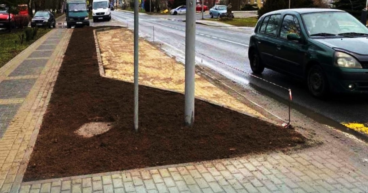 В Зеленоградске пассажирам автобуса приходится перепрыгивать клумбу ...