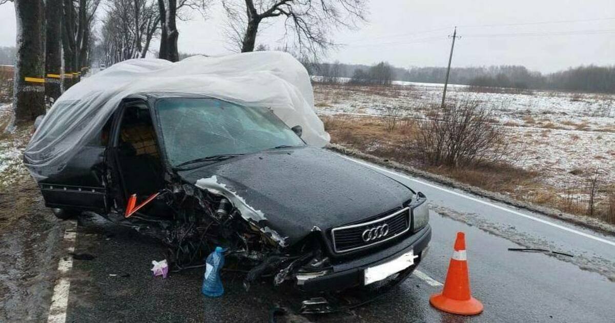 Ауди врезалась. Ауди перевертыш. Происшествия на сказочных дорогах. Ауди врезалась. Ауди врезалась.