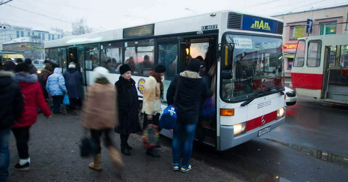 У него крылья в 2 этажа 6 букв