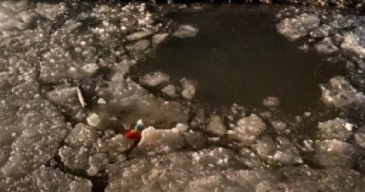 Ведлозеро утонул ребенок. Парк на шарташе в екатеринбурге. Ведлозеро утонул ребенок. Ведлозеро утонул ребенок. Спасение на воде.