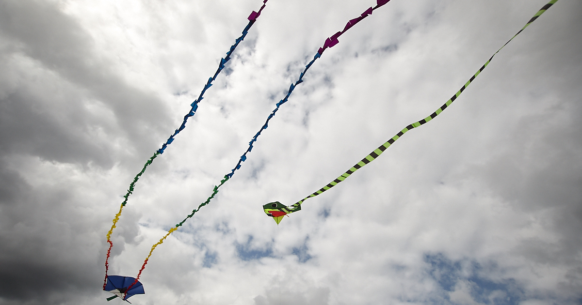 Motorist Rams Crowd at Kite Festival in France, Injuring 11 People