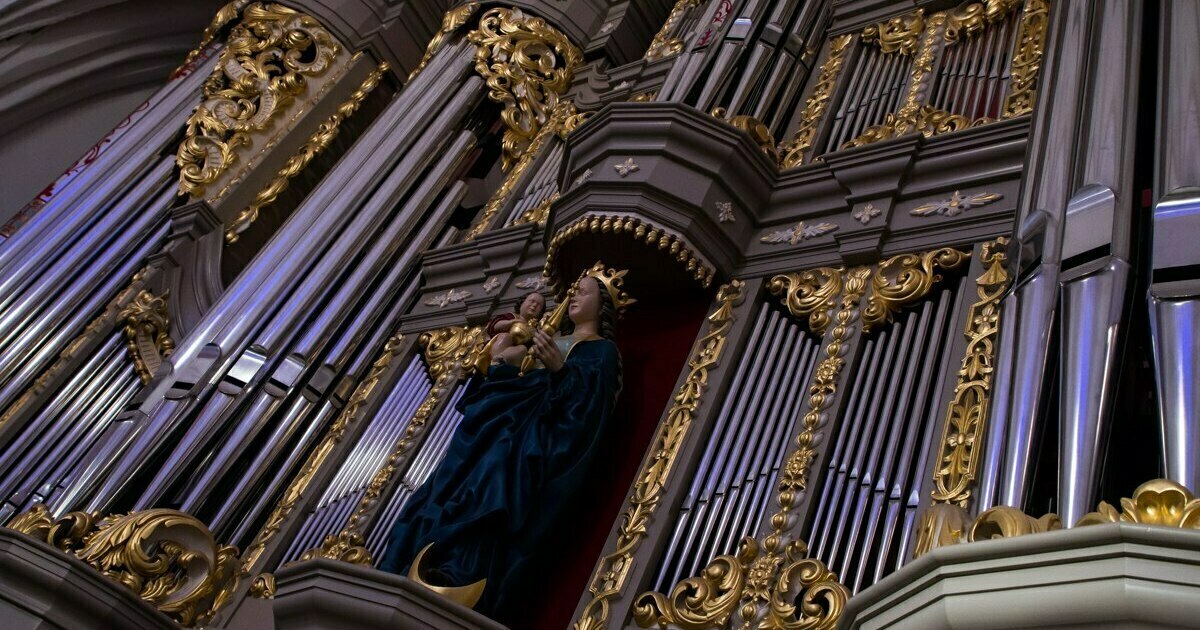 Услышать стихию в музыке: в Кафедральном соборе исполнят произведения ...